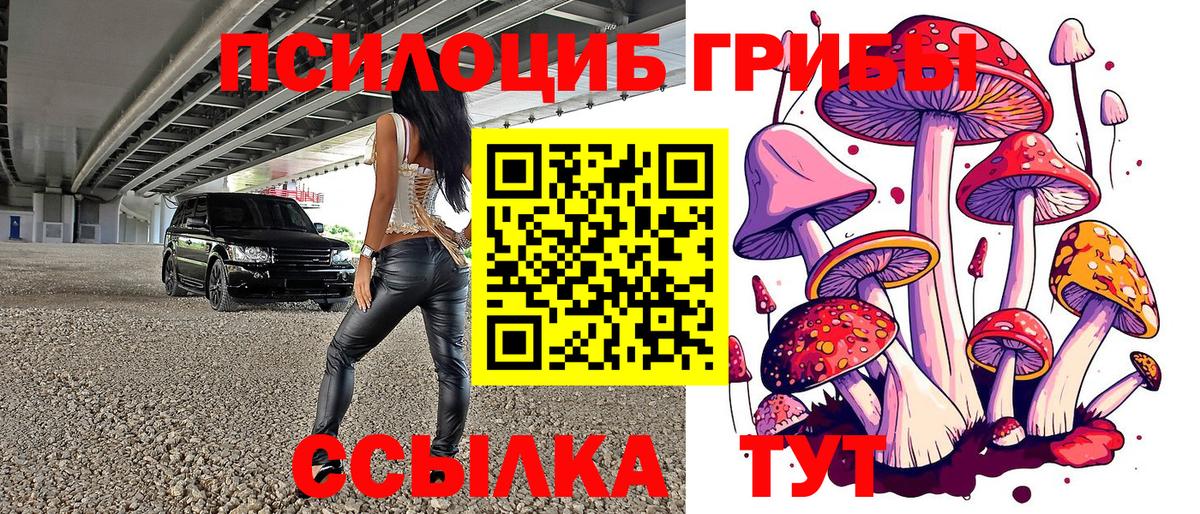 Псилоцибиновые грибы MAGIC MUSHROOMS  Вход с VPN  что такое наркотик  Псилоцибиновые грибы Cubensis  Избербаш 